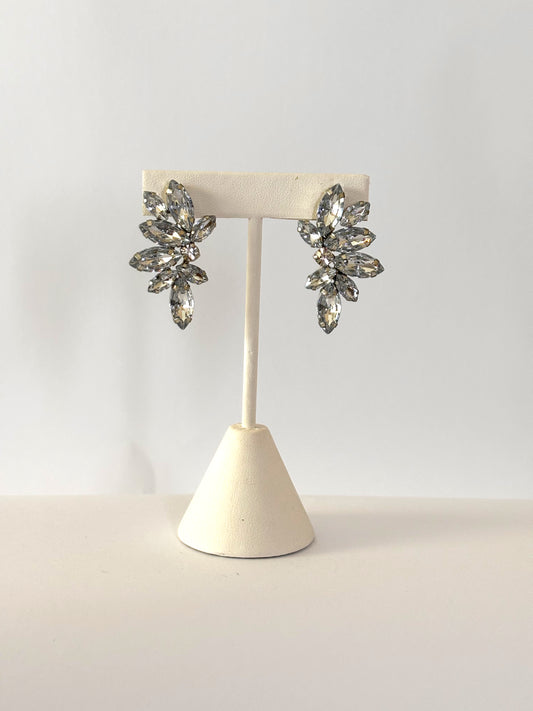 Aretes Fiesta Plateados