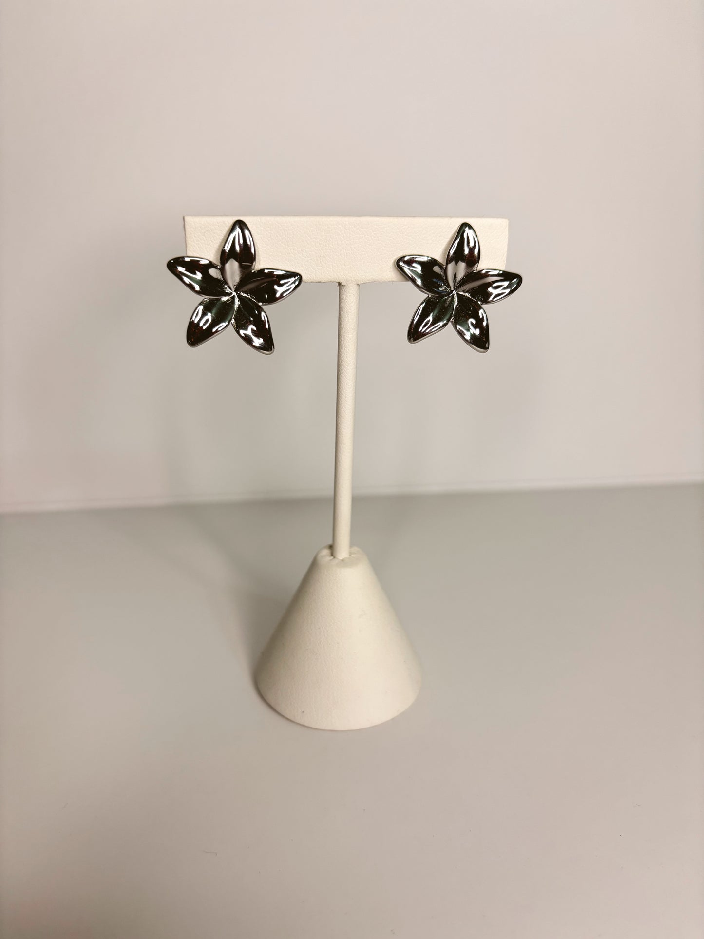 Aretes Vera Plateados