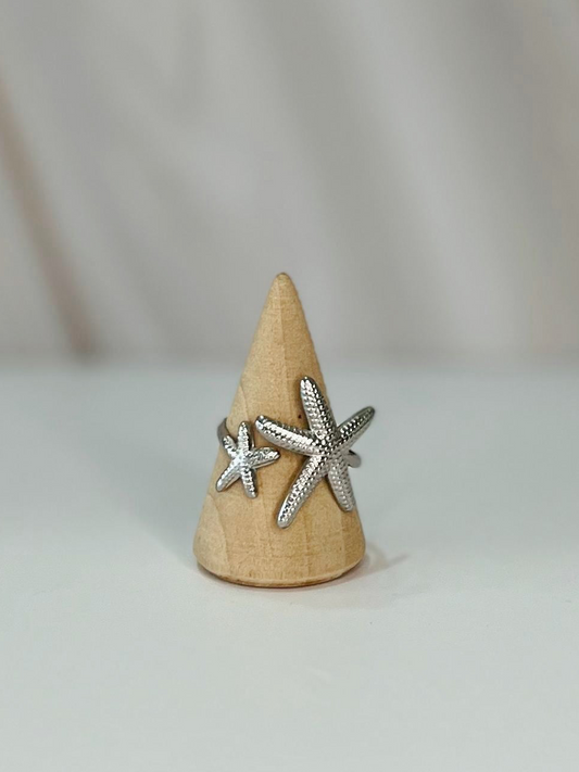 Anillo plateado mar